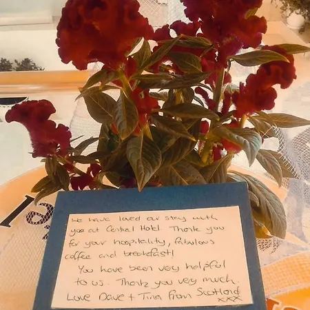 Ξενοδοχείο Tirana Central Guesthouse Τίρανα