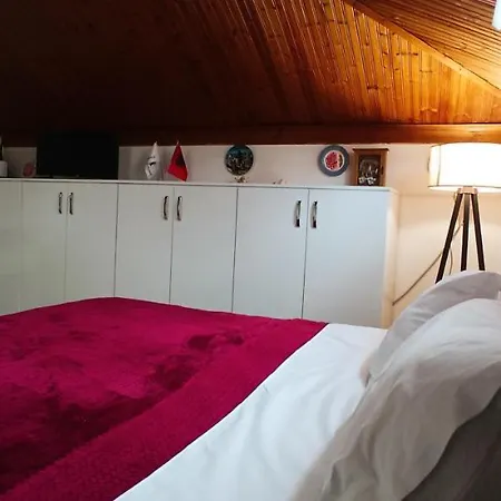 Tirana Central Guesthouse Ξενοδοχείο Τίρανα