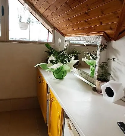 Tirana Central Guesthouse 3*