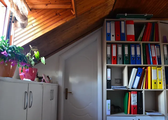 Tirana Central Guesthouse 3* טיראנה