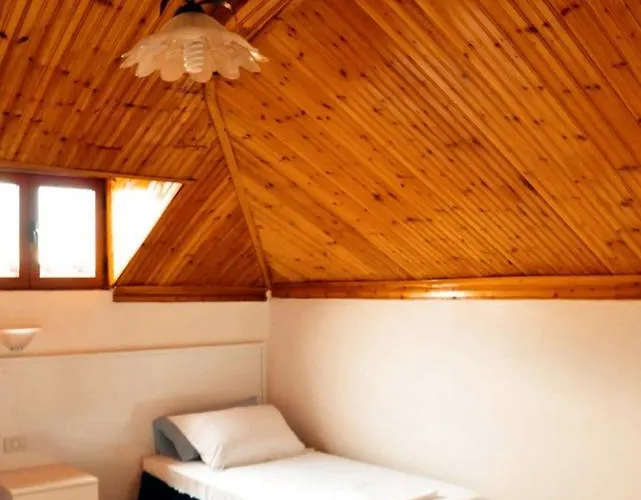 Tirana Central Guesthouse מלון 3*